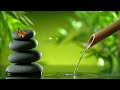 Beautiful Piano Music 🍀 Study Music, Relaxing Music, Sleep Music, Meditation Music, Calm Nature