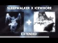 Sleepwalker x Icewhore (Extended)