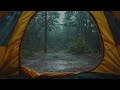Solo Camping In Heavy Rain | Defeat Pressure In 2 Minutes Sleep Right Away With Rain On Tent | ASMR