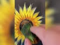 How to Paint Sunflowers for Beginners🌻