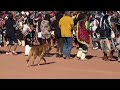 Zuni Pueblo harvest dance / Autumn 2023