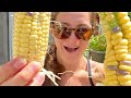 I Germinated Popcorn Kernels and Grew Corn