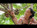 Single mother happy to receive help from kind man - buy new clothes - harvest fruit | anh hmong