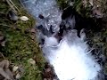 water flowing in Montana stream