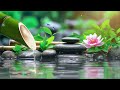 Relaxing Piano Music with Nature View, Deep Sleep Music - Meditation Music, Water Fountain, Bamboo