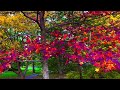 “Autumn” ~ Fall photos with piano accompaniment.