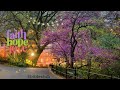 Faith ● Hope ● Love | Ebibleclub Music 🎶 🎵 | Lofi House Music | #ebibleclubmusic #lofihouse
