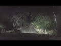 Night driving in heavy rain on lonely Forest Roads [ASMR]