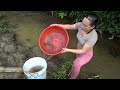 UniqueFishing:The village girl used a pump to drain the water from wild lake catch many fish