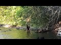 Dog catches fish and sets it free