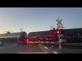 BNSF Trains in Stockton Sub with Loram Grinder, NS Leader, & More!