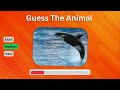 Guess the Animal Quiz | Can You Guess the 100 Animals!!🤯