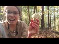 How to ID Agaricus mushrooms