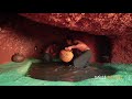 Build The Most Amazing Underground House and Swimming Pool Under the Cliff Full Episode