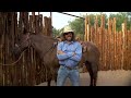 How to saddle a horse - Just Ranchin 1