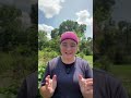 🔴LIVE! Garden Q&A: Highs and Lows of Our 2024 Garden