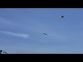 Revolution Supersonic Kite at Galveston Beach