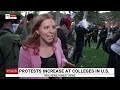 Chaos erupts as riot police clash with anti-Israel protesters at US university