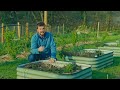 Spring Planting & Soft Fruit Collection | Huw's Garden Diaries