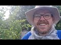 July Vlog. Allotment, potatoes, chips & some BBQ wings!