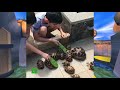 Spyro: Turtle Soup IRL
