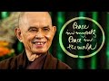 Thich Nhat Hanh | Take Care Of Our Thinking