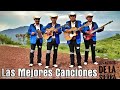 Puros Corridos Y Rancheras - Los Amigos De La Sierra Las Mejores Canciones