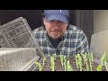 5 Crops To Start Early Now! - Garden Quickie Episode 185
