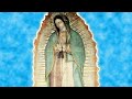 Melodia Celestial para orar,  descubierta en el manto de la Virgen  de Guadalupe