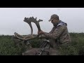 Bull walks right to me! Bow Hunting Caribou | Eastmans' Hunting TV