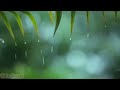 Relaxing Piano Music & RAIN Sounds 24/7 - Ideal for Stress Relief and Healingrain