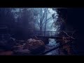 Relaxing Music, Deep Sleep Music, Strees Relief, Meditation Music, Soothing Music, Sound Relax