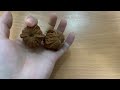 文玩核桃Antique walnut盤核桃技巧-指尖盤