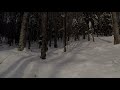 Meditative Landscapes: Winter in Alpine Forest | Meditation, Stress-Relief, Relaxation.
