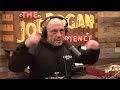 Why Stars Get Addicted To HEROIN! | Joe Rogan & Pauly Shore #jre