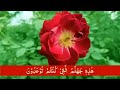 Surah Yasin ( Yaseen ) with Urdu Tarjuma | Quran tilawat | Episode 0039| Quran with Urdu Translation