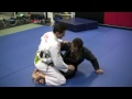Caio Terra: Butterfly Guard Pass To The Back
