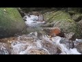 ASMR, with the sound of clear and soft water, creates a comfortable and calm atmosphere