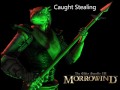 Morrowind Female Argonian Responses