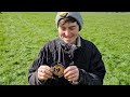 Remote farm: Ancient Coins and Artefacts Revealed- Metal Detecting UK