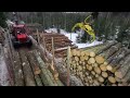 Very heavy spruce for timber crane #3