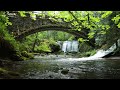 Sleep Music, Stress Relief Music, Relaxation music, Meditation music, Spa, Yoga, Nature sounds