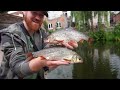 Cheap Easy Method Catches Specimen Canal Fish!