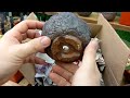 Unboxing ceramic crackle pots for my cactus collection