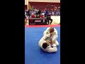 White belt match