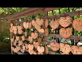 [4K] Kamakura, Japan - Beautiful shrines and gardens Walking tour