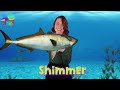 Under the Sea song for kids | Sea Animals Song for children | Learn about the Ocean for kids