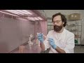 How to Make Plates, Slants, and Liquid Culture for Mushroom Cultivation | Agar Recipe | Lab Skills