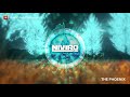 NIVIRO - The Phoenix (Extended Mix)