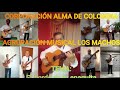 El borde de tu enagüita.( Álvaro Dalmar).  Agrupación musical los Machos. Cúcuta. N. Sder. Colombia.